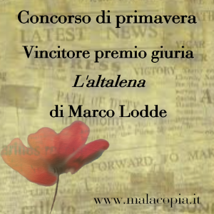 Malacopia_concorso_di_primavera_2014.premiogiuria